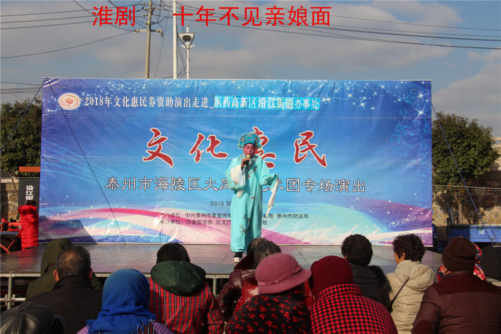3.淮剧 十年不见亲娘面.jpg