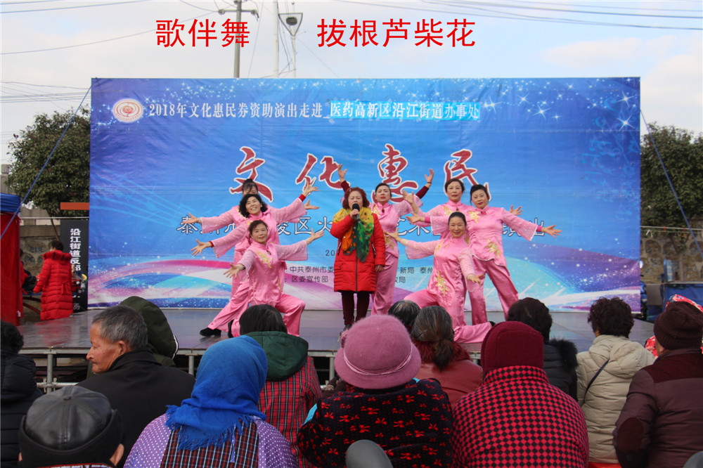 4.歌伴舞 拔根芦柴花.jpg